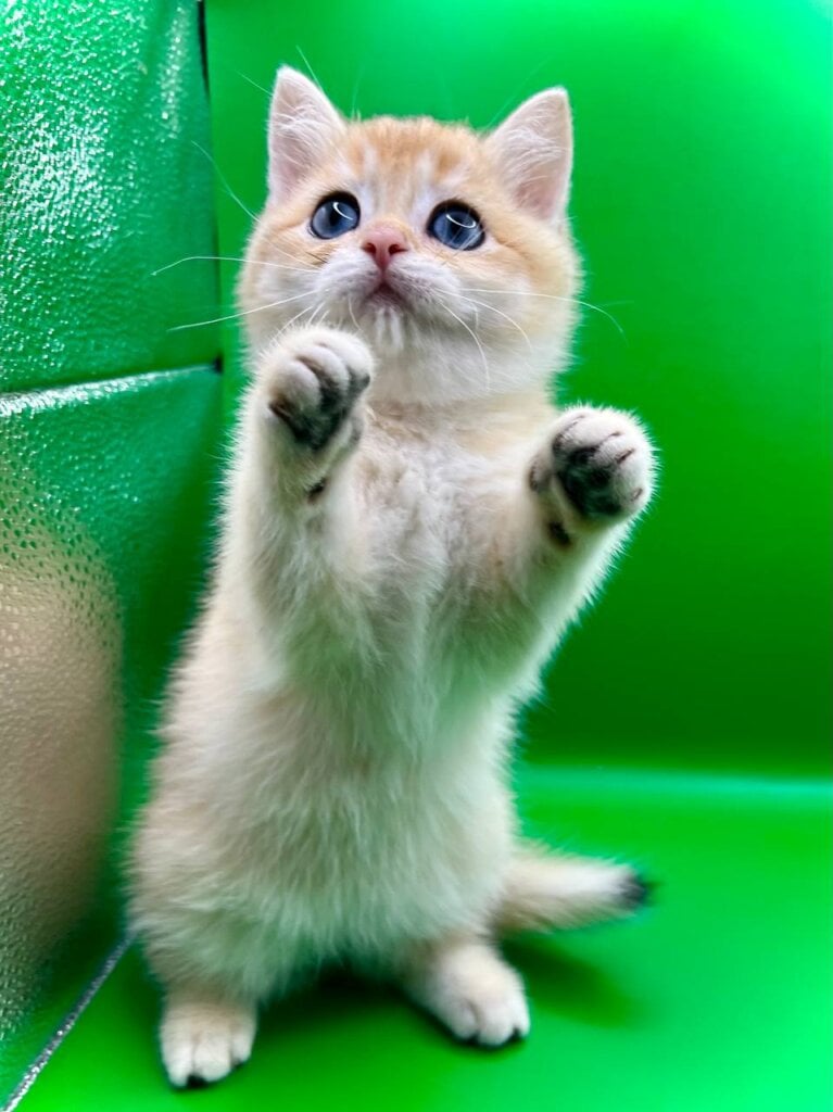 Photo 2025 11 15 19 04 38