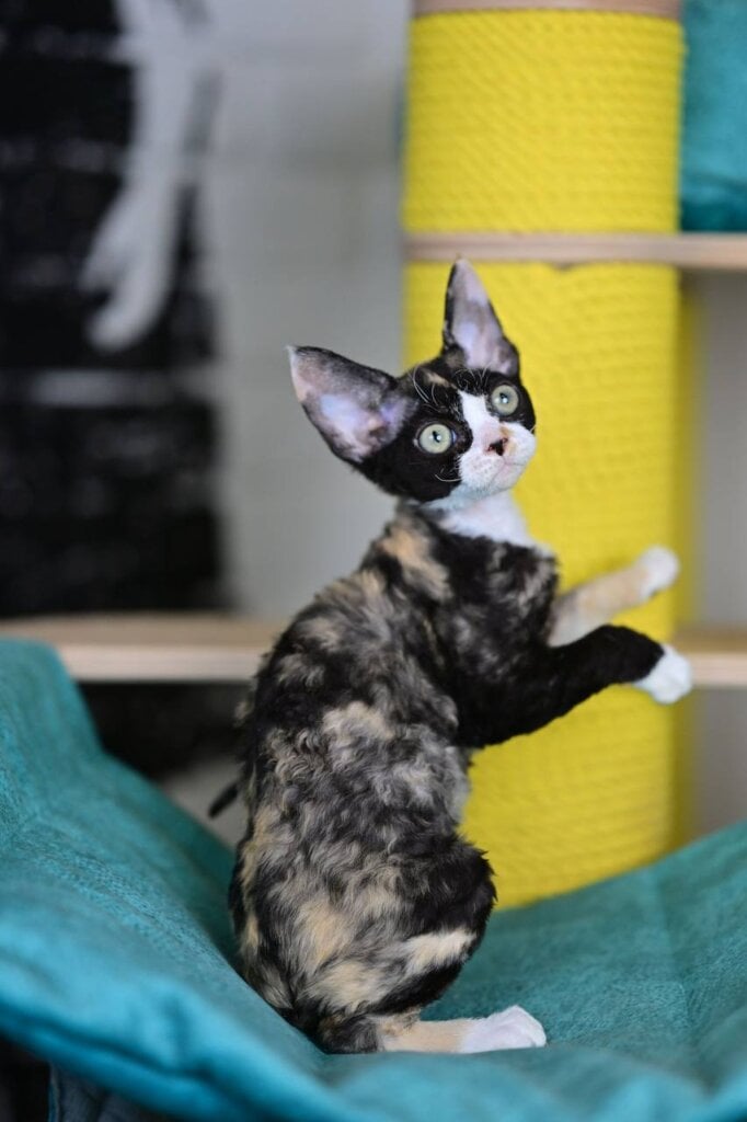 Photo 2025 11 16 18 23 02