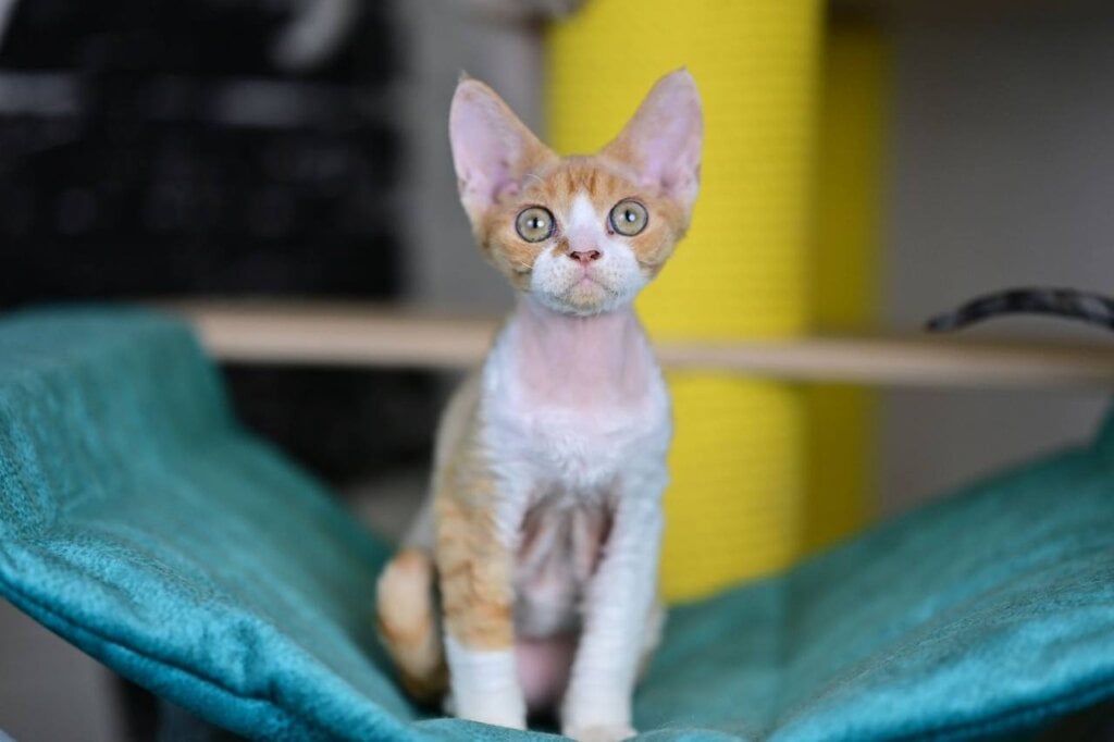 Photo 2025 11 16 19 51 21