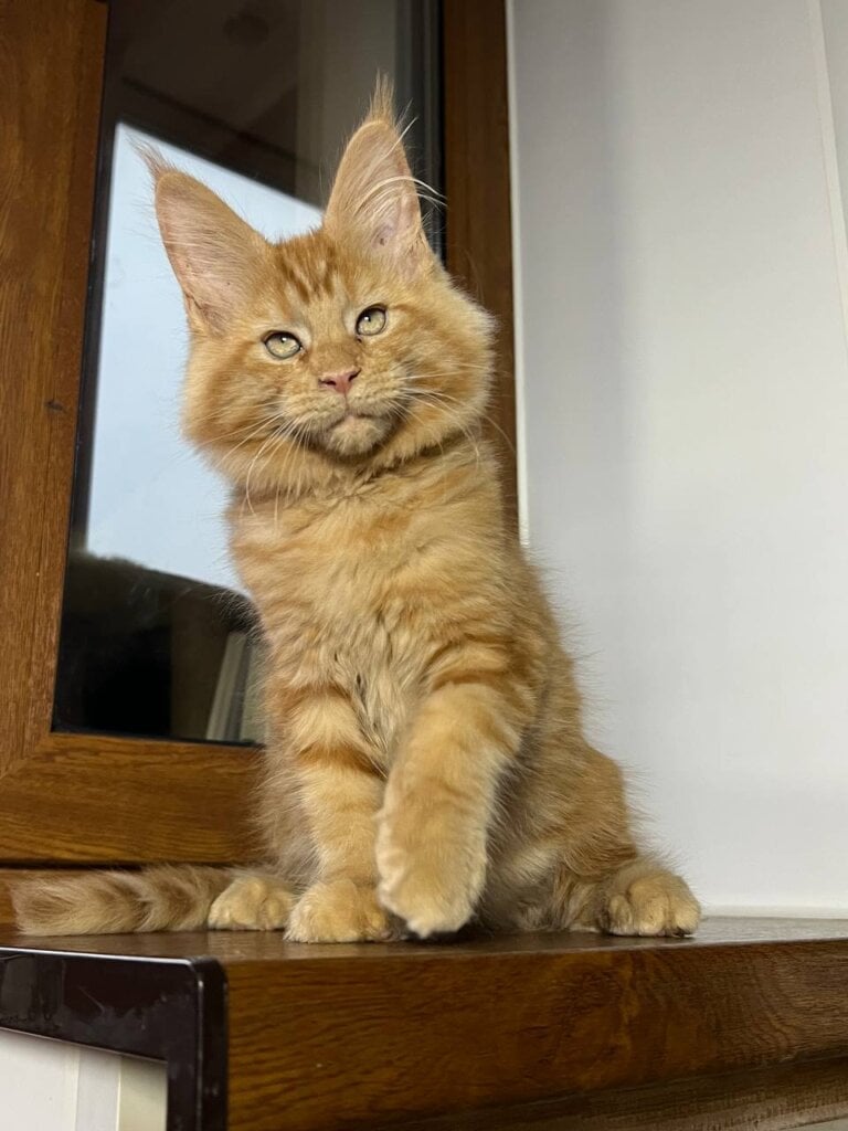 Photo 2025 11 17 10 36 17