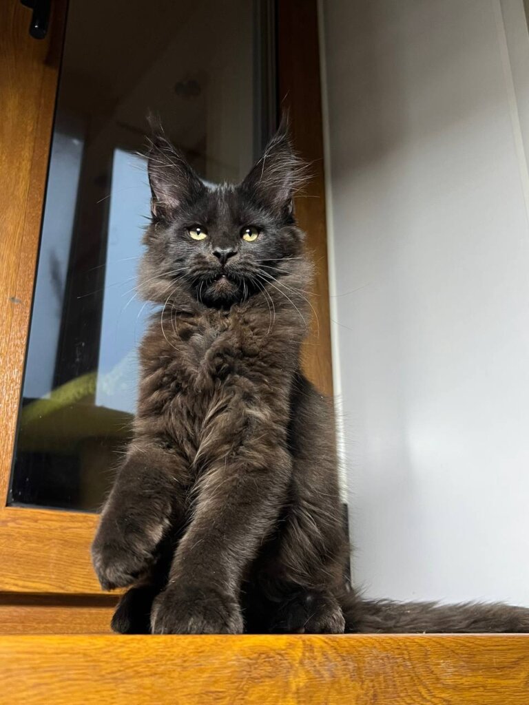 Photo 2025 11 17 10 37 05 2