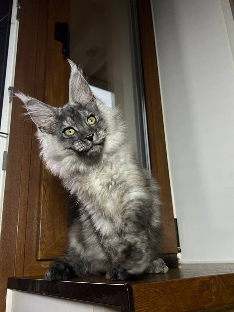 Photo 2025 11 17 10 37 57