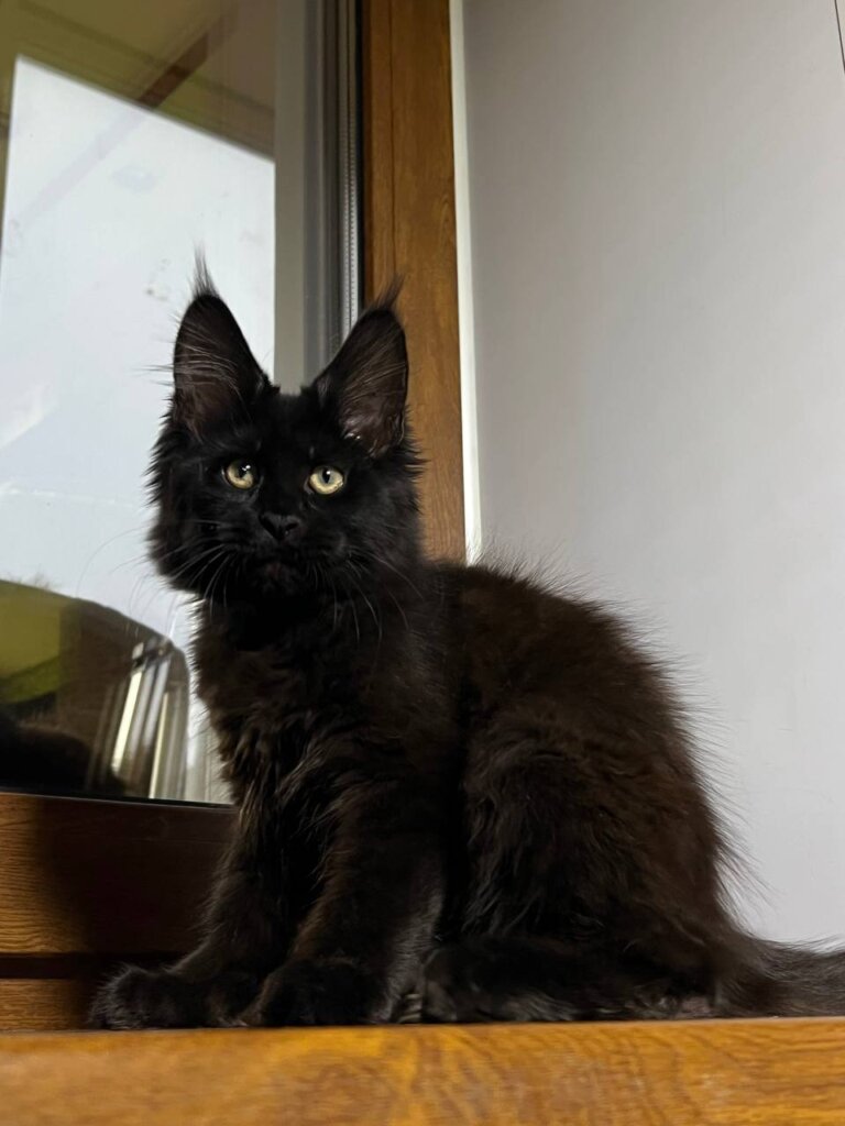 Photo 2025 11 17 10 39 32