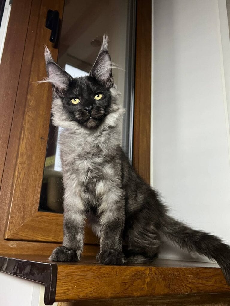 Photo 2025 11 17 10 40 07