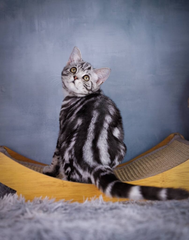 Photo 2025 11 17 10 46 06 2