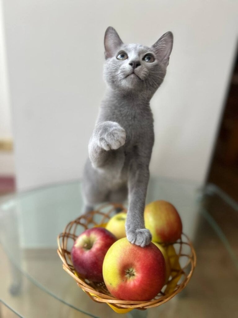 Photo 2025 11 17 20 59 40 2