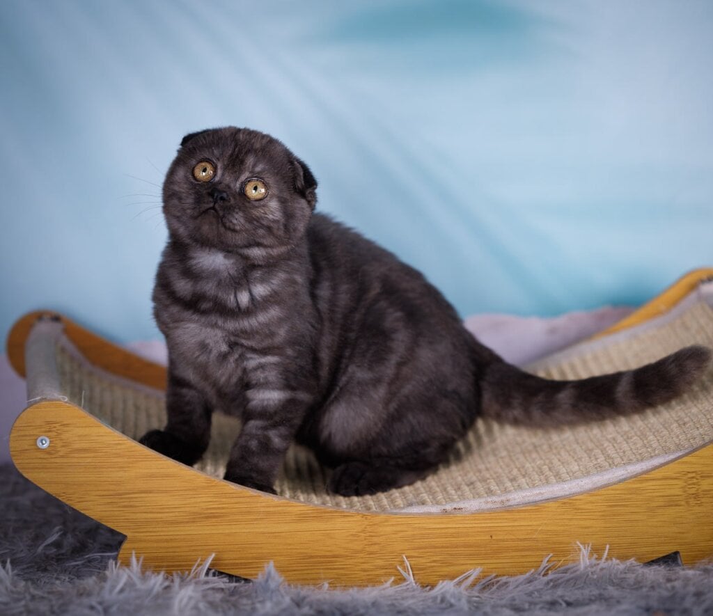 Photo 2025 11 18 10 58 12 3