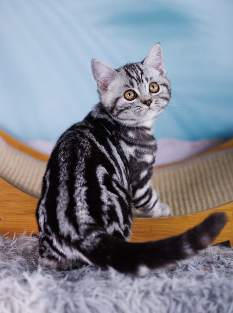 Photo 2025 11 18 10 59 28