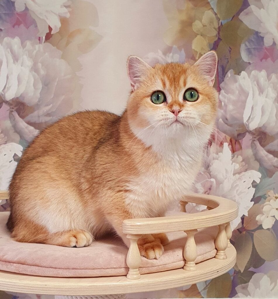 Photo 2025 11 18 13 01 05 5