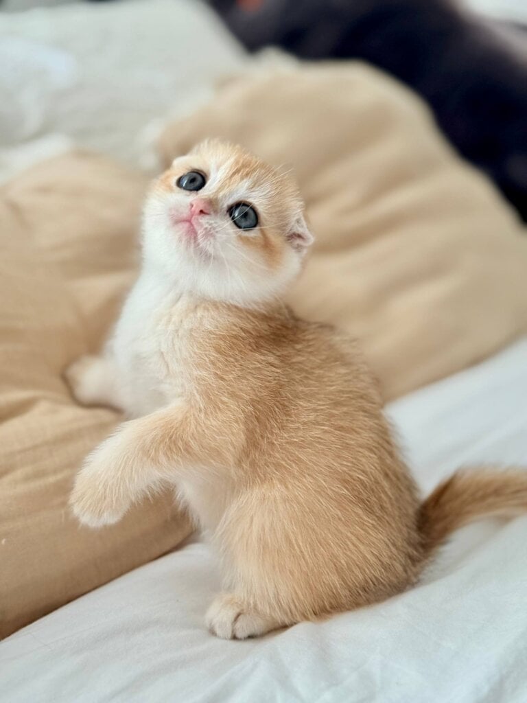 Photo 2025 11 18 16 59 49