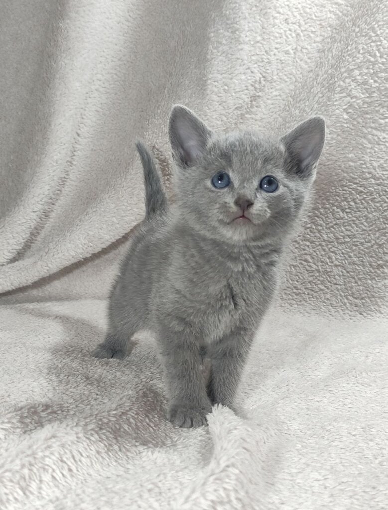 Photo 2025 11 18 19 56 34 4