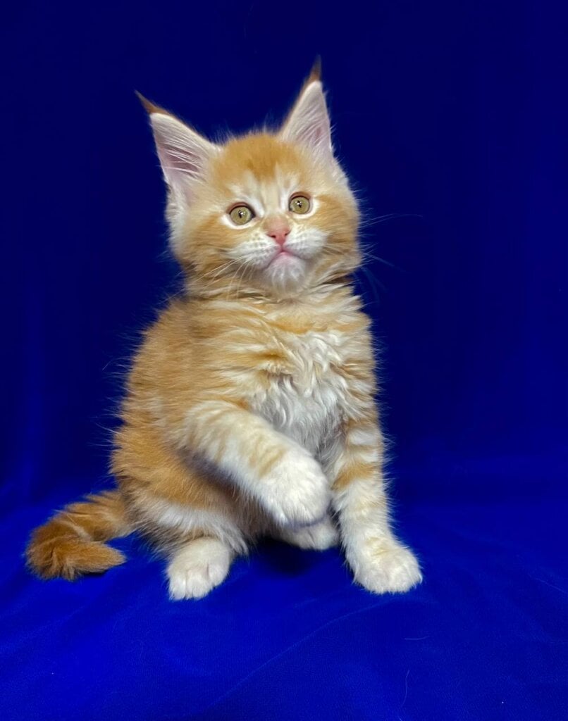 Photo 2025 11 18 21 36 06