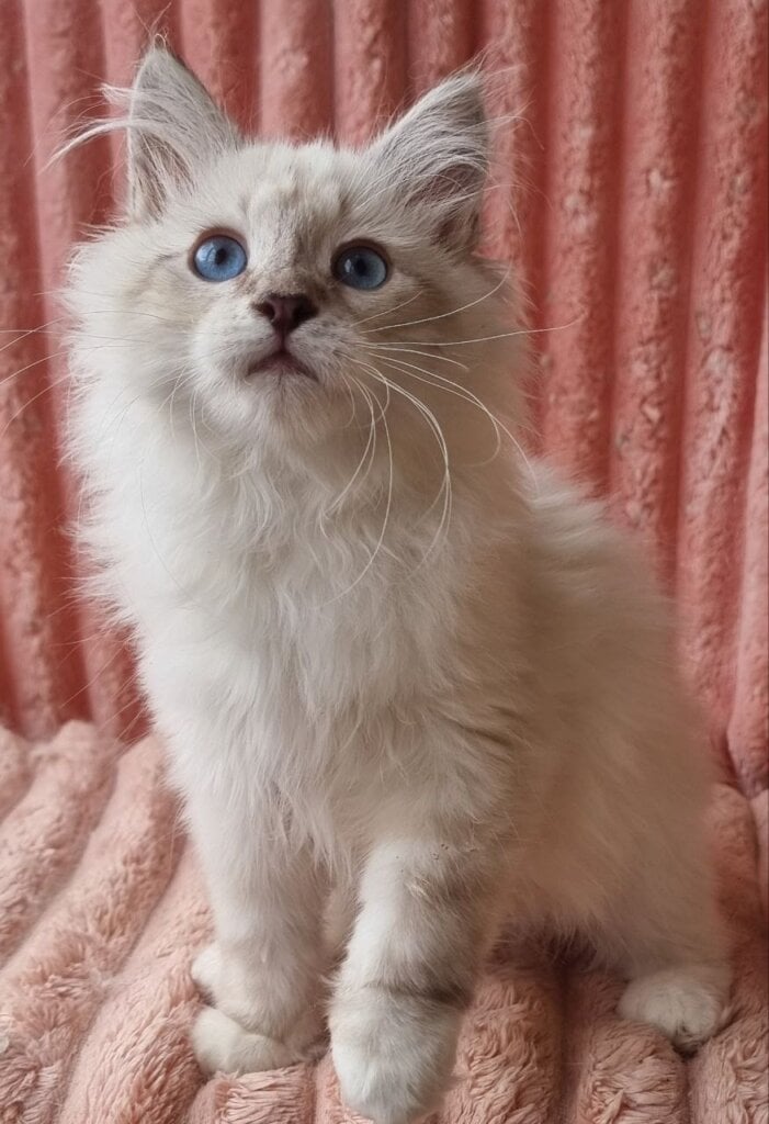 Photo 2025 11 18 22 33 32 2