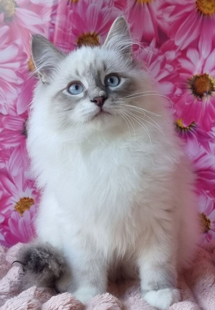 Photo 2025 11 18 22 37 39 2