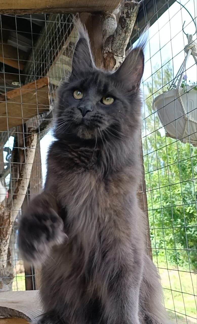 Photo 2025 11 19 19.27.13