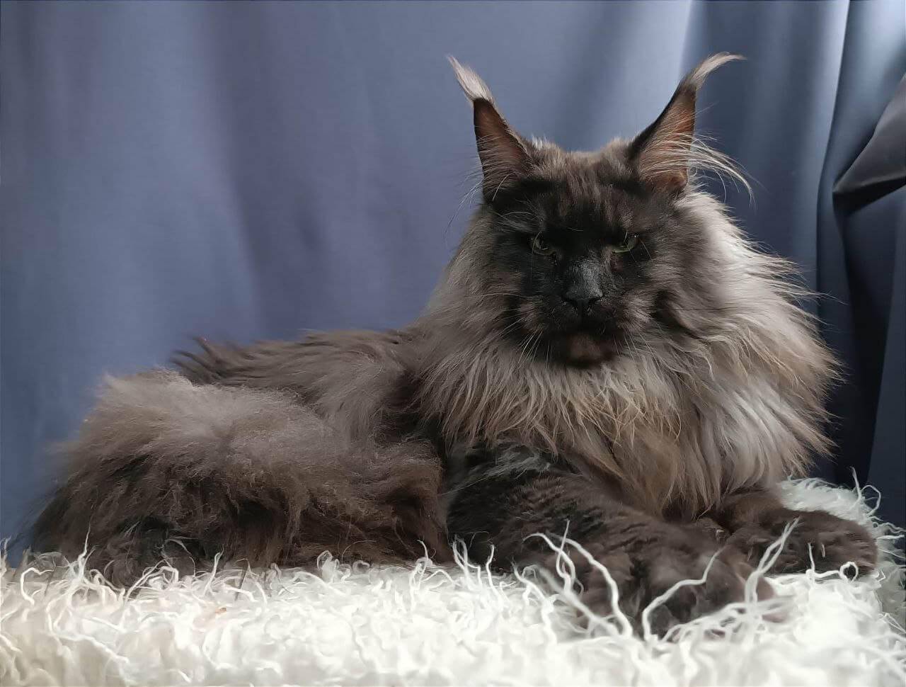 Photo 2025 11 19 19.27.16