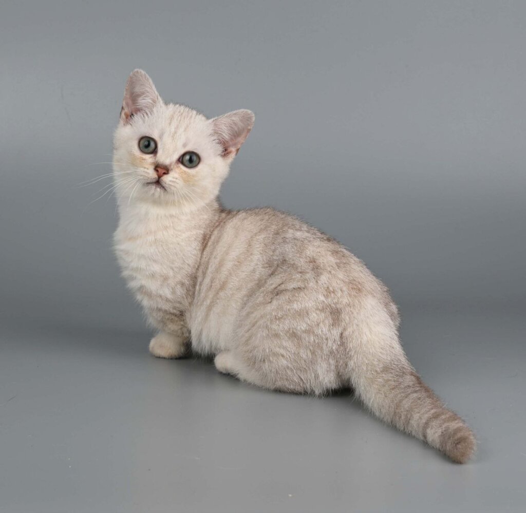 Photo 2025 11 19 10 23 01