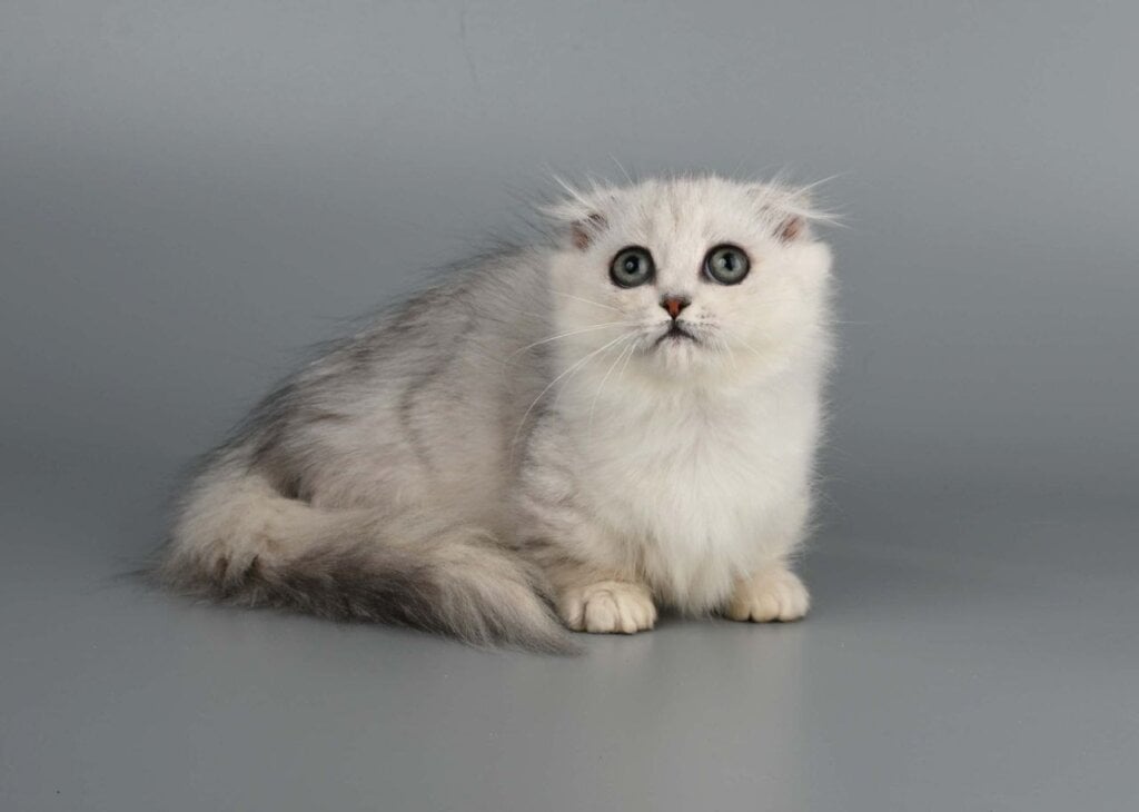 Photo 2025 11 19 10 38 33