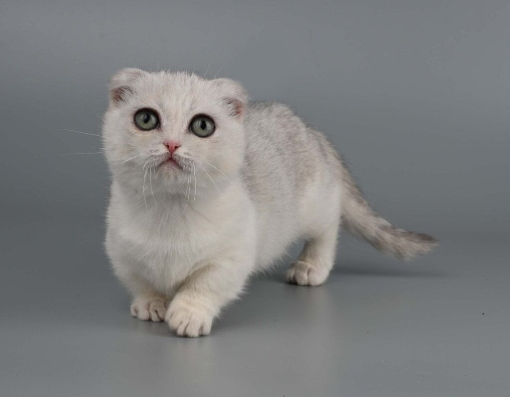 Photo 2025 11 19 10 39 55