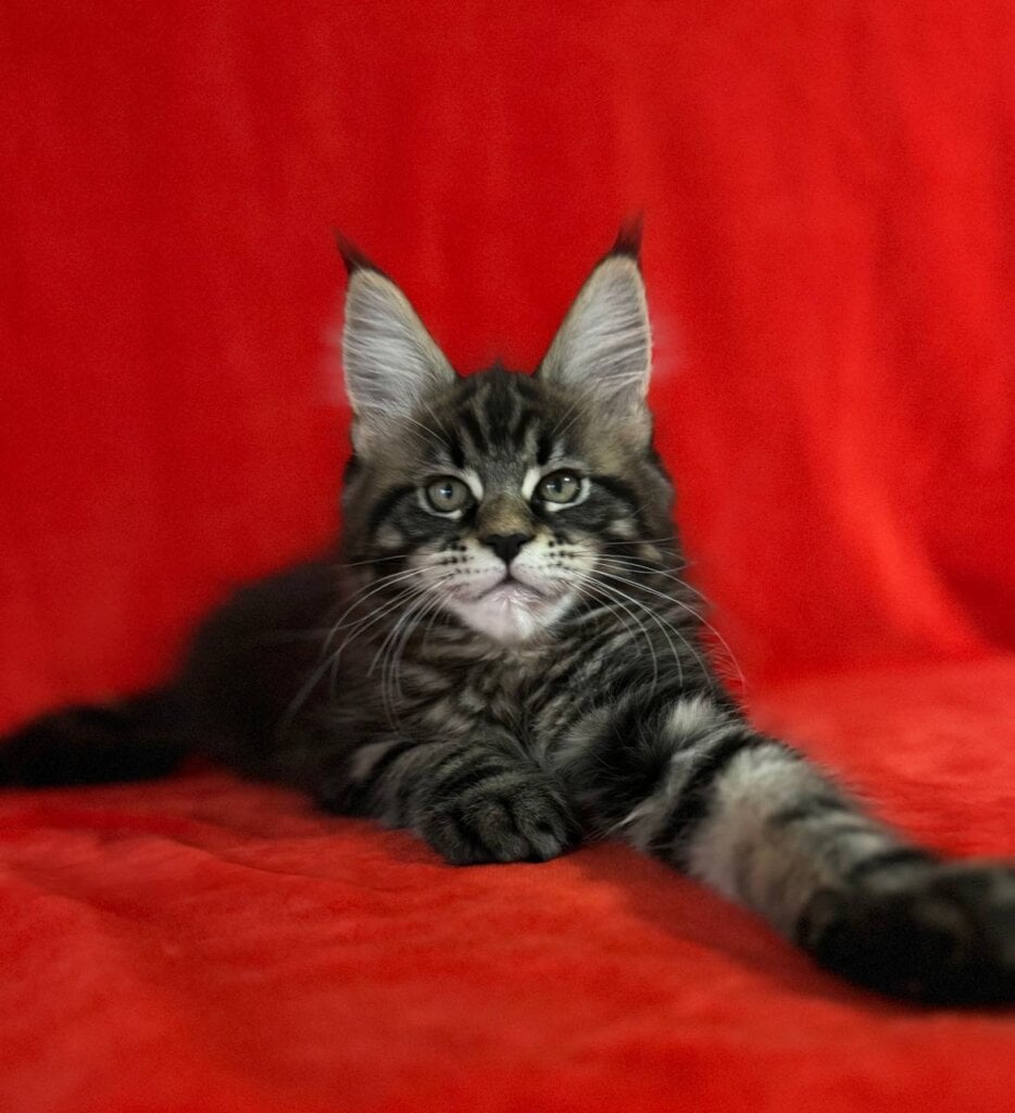 Photo 2025 11 19 17 31 05