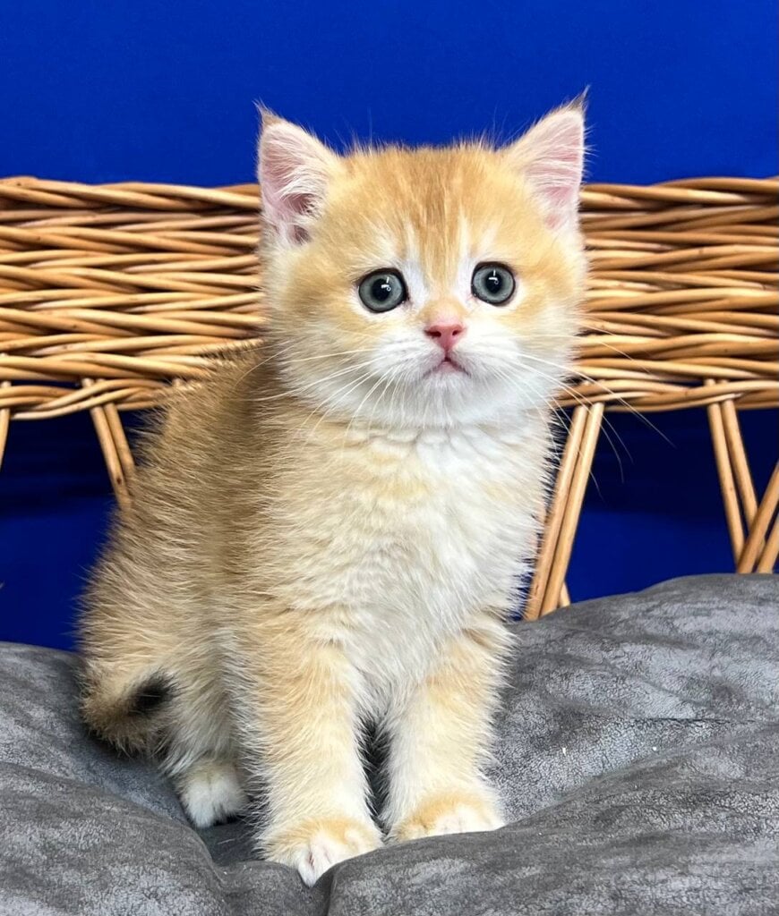 Photo 2025 11 21 00 01 06