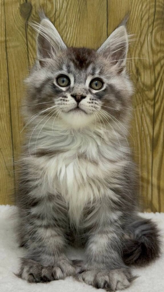 Photo 2025 11 21 10 08 56 2