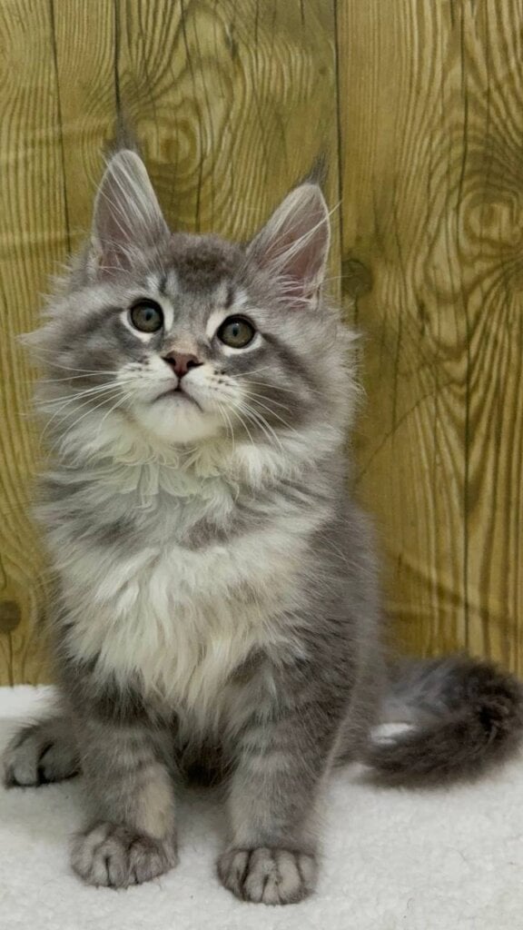 Photo 2025 11 21 10 10 30 2