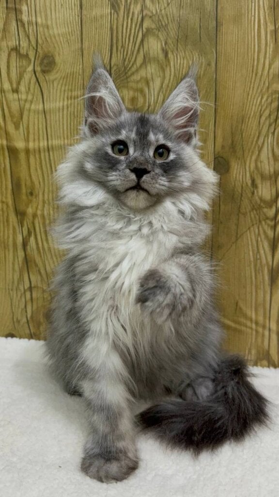 Photo 2025 11 21 10 16 00 2