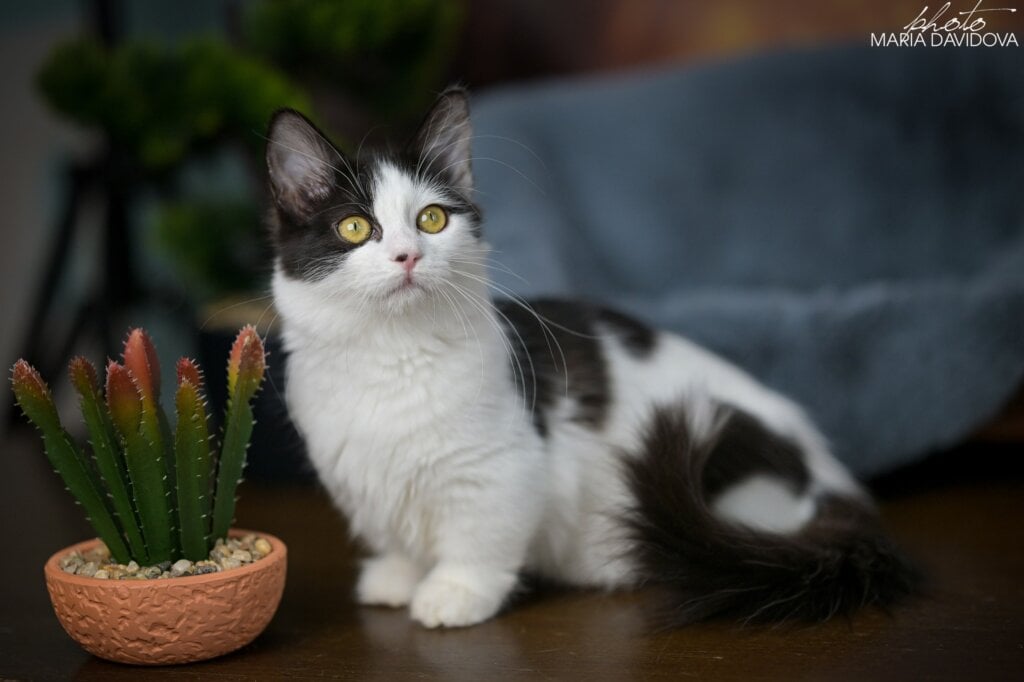 Photo 2025 11 21 10 39 49 3