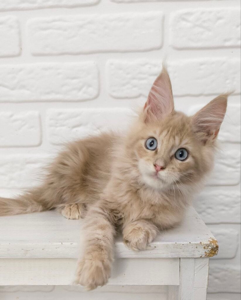 Photo 2025 11 22 12 35 37 2