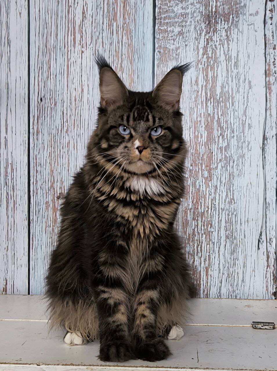 Photo 2025 11 22 12 38 27