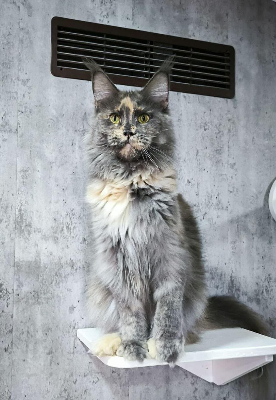 Photo 2025 11 22 12 38 53