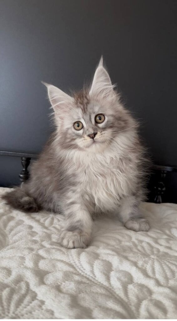 Photo 2025 11 22 14 29 37