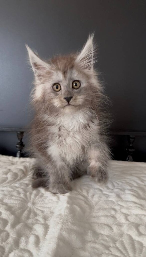 Photo 2025 11 22 14 45 04