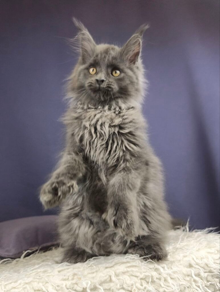 Photo 2025 11 24 10 43 05