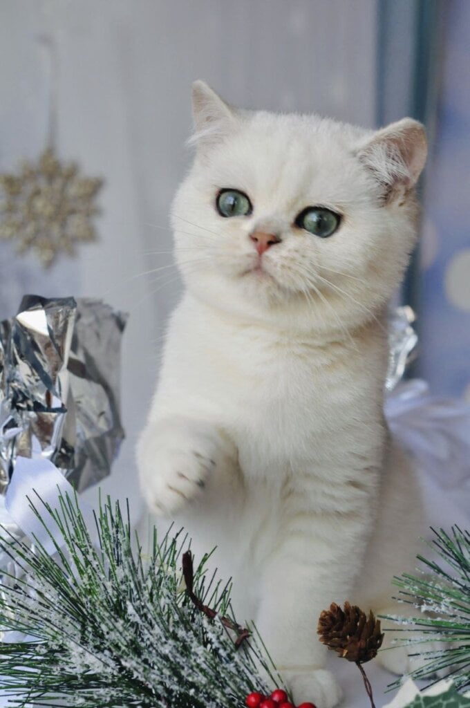 Photo 2025 11 24 13 40 56