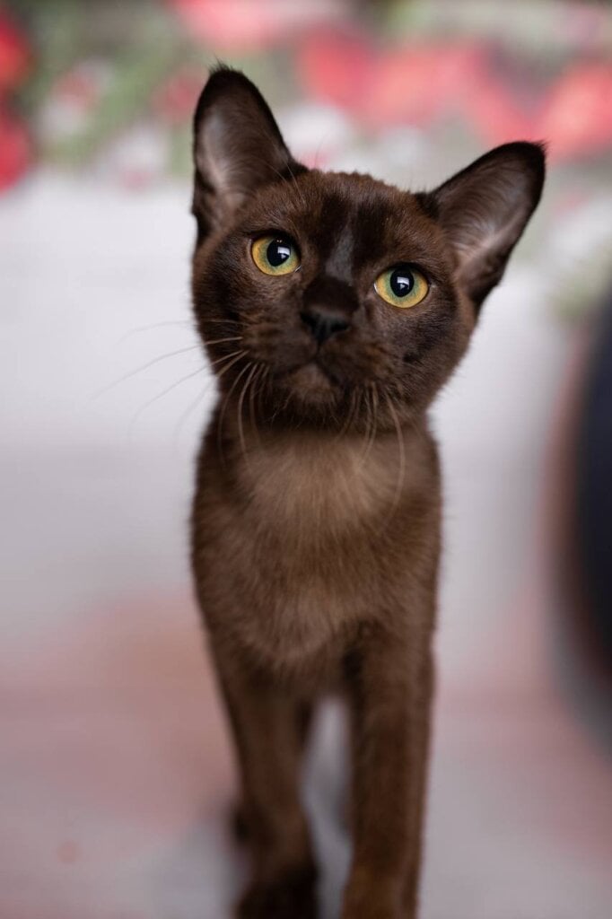 Photo 2025 11 24 20 25 12