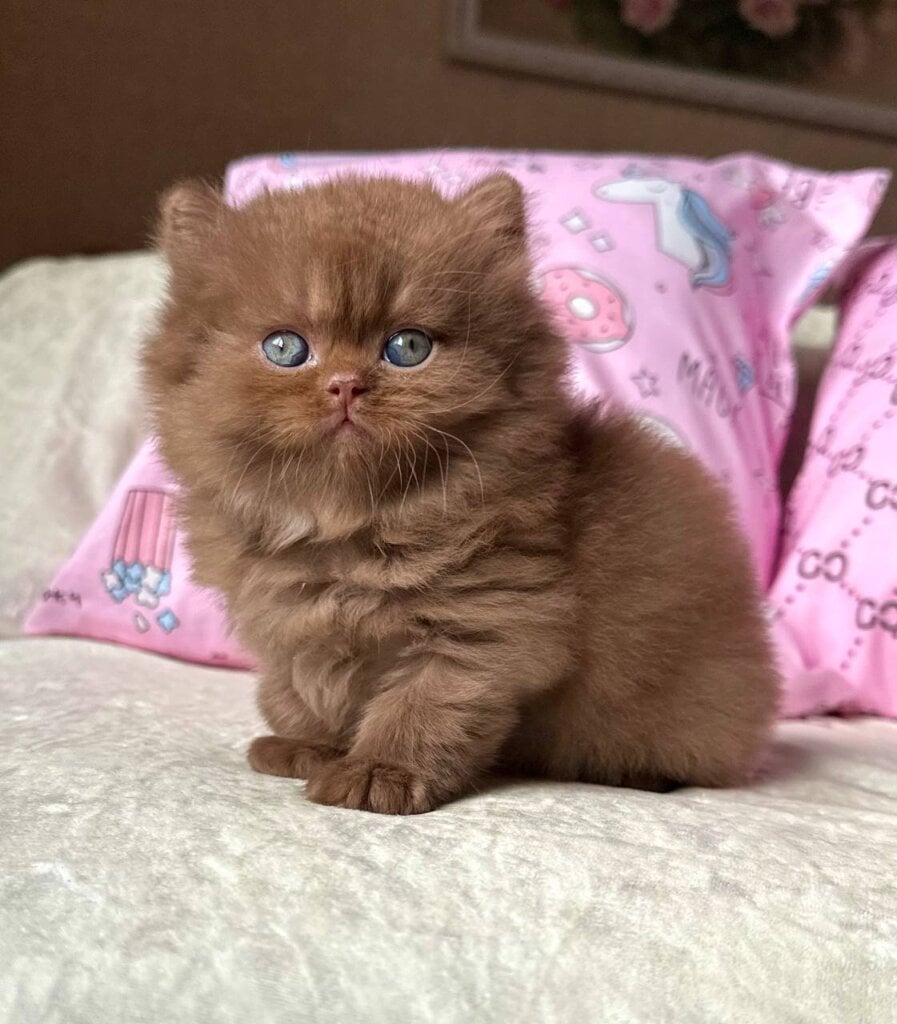 Photo 2025 11 25 17 04 29