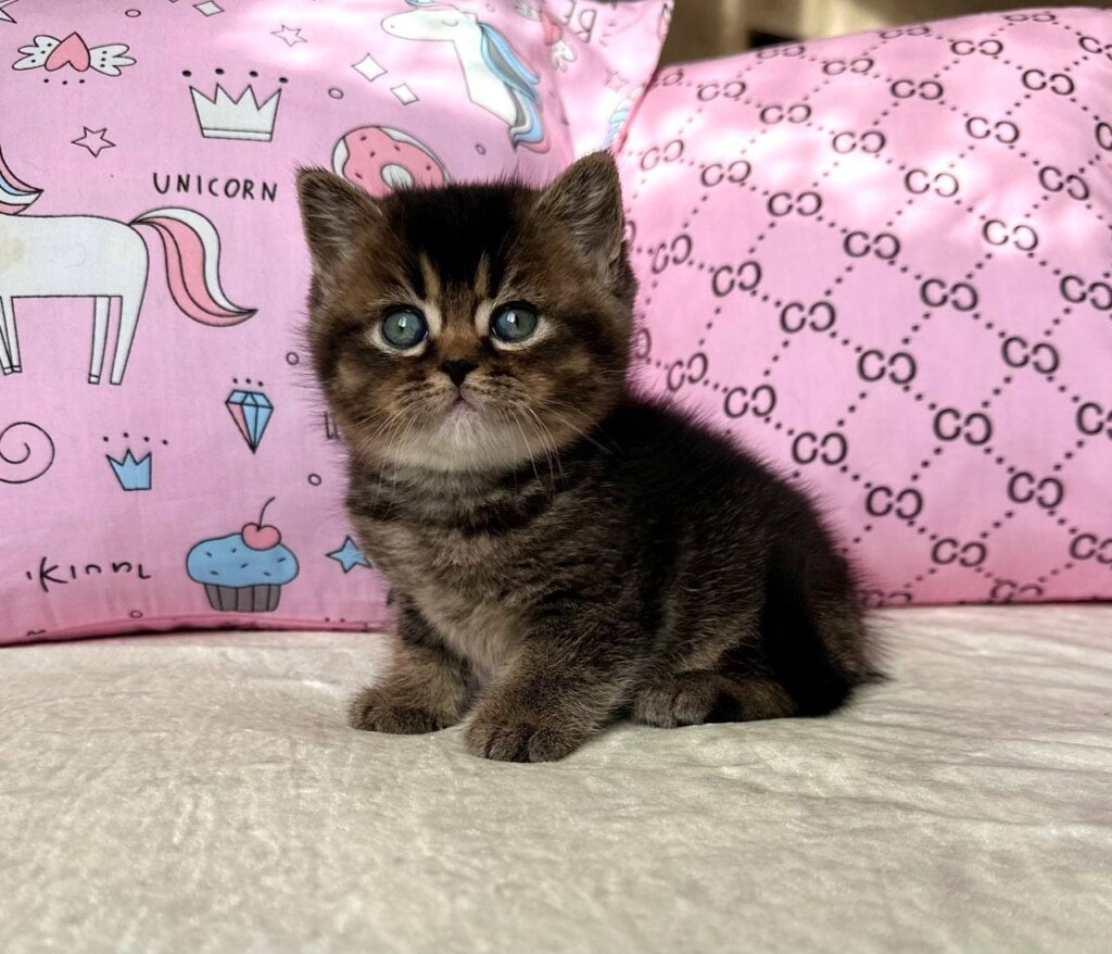 Photo 2025 11 25 17 06 25