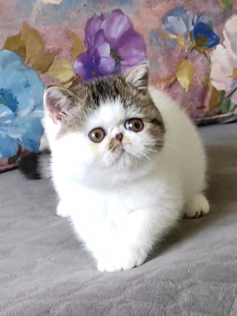 Photo 2025 11 25 17 35 13