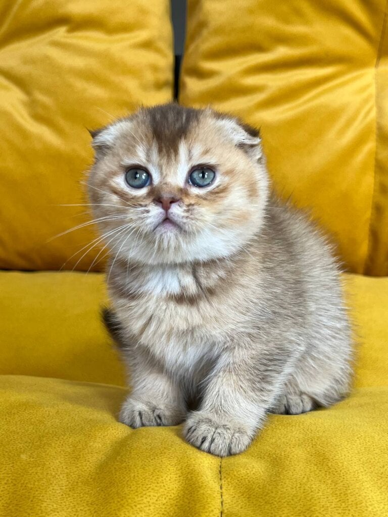 Photo 2025 11 26 18 37 24