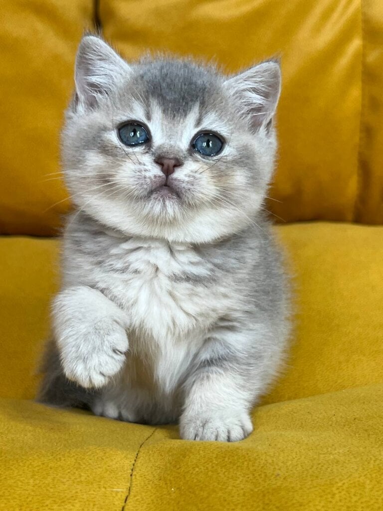 Photo 2025 11 26 18 39 58