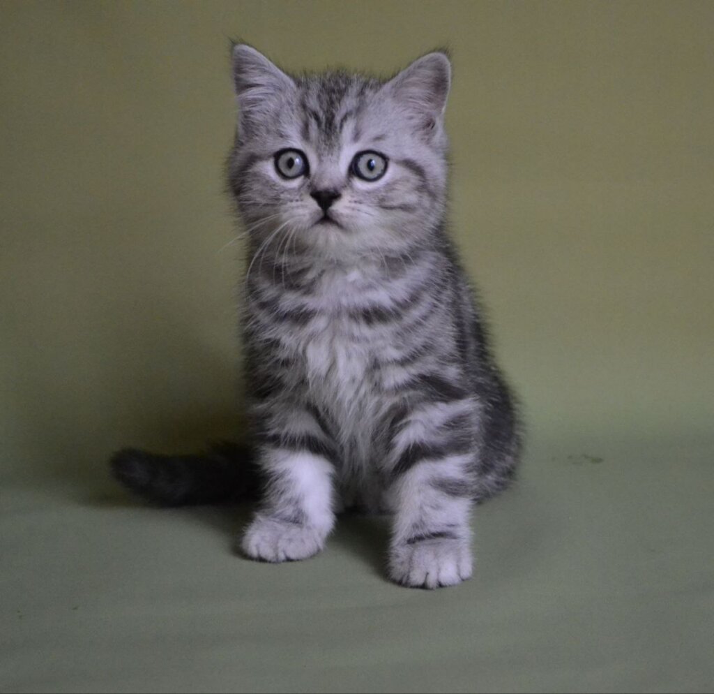 Photo 2025 11 27 12 14 24 3