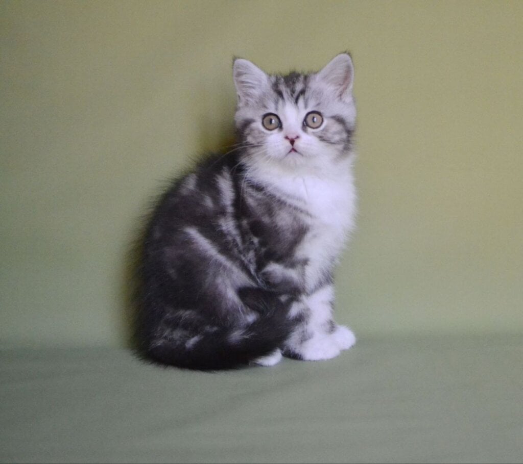 Photo 2025 11 27 12 21 08