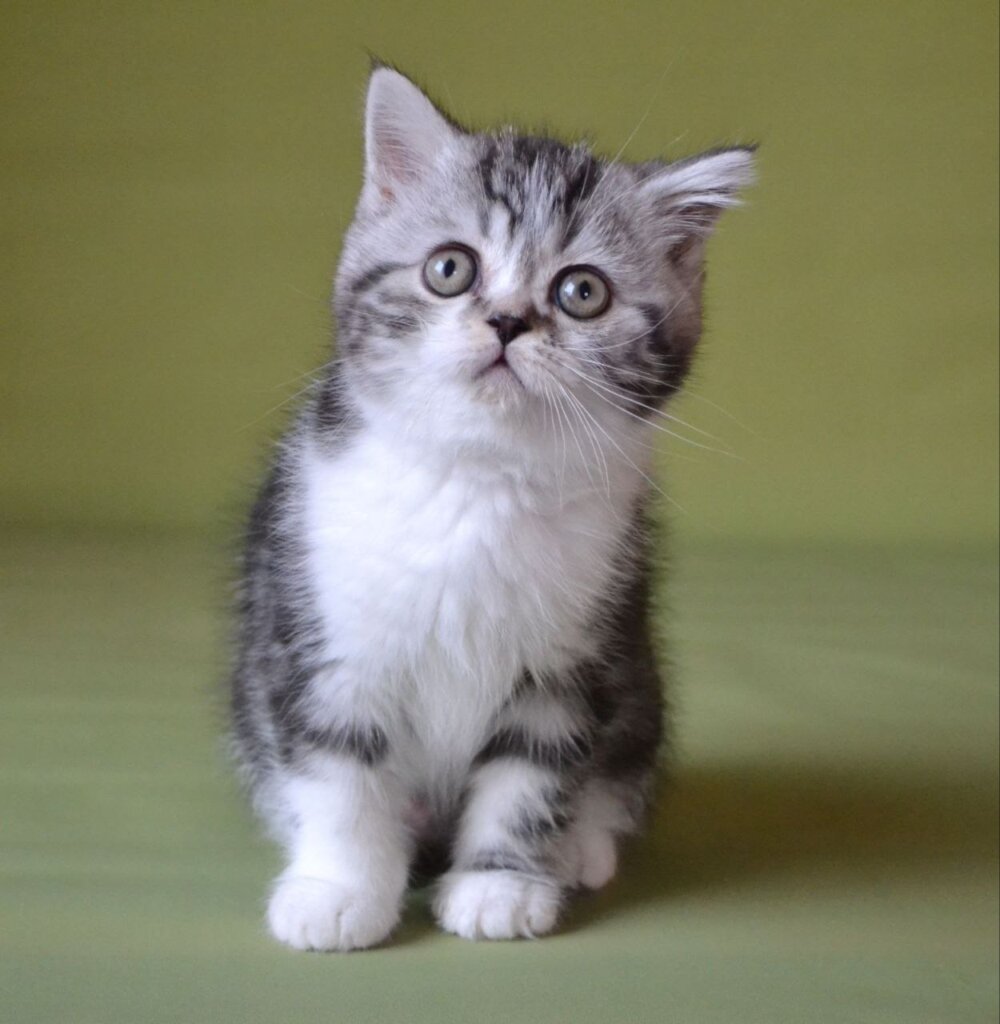 Photo 2025 11 27 12 24 24