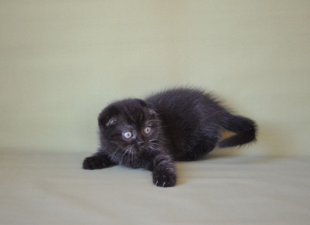 Photo 2025 11 27 12 28 22