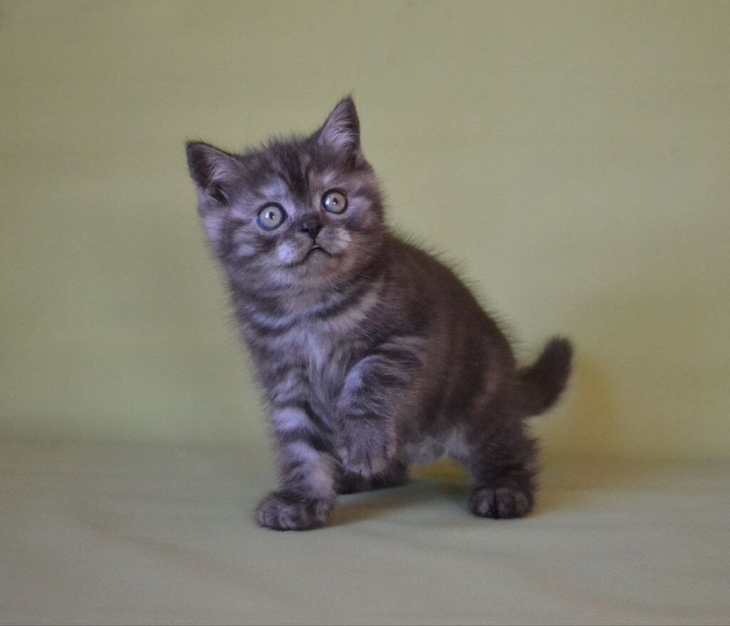 Photo 2025 11 27 12 30 08