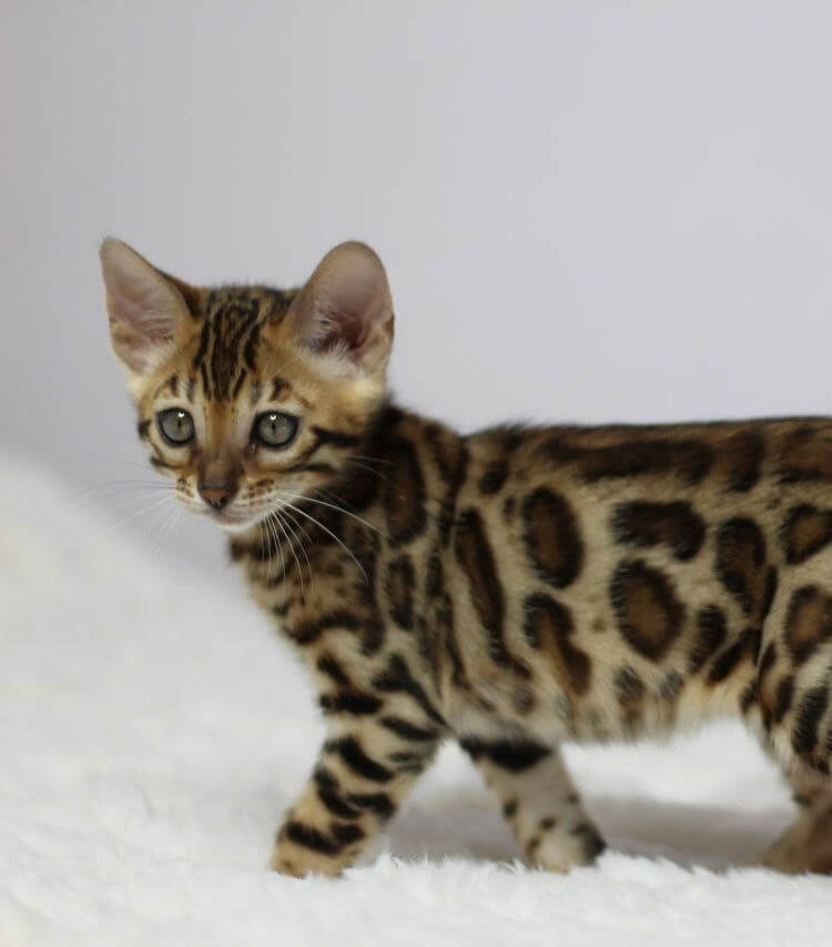 Photo 2025 11 27 23 53 232