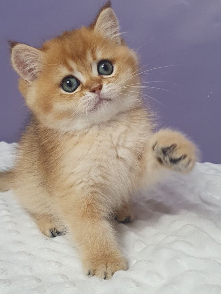 Photo 2025 11 29 14 54 10