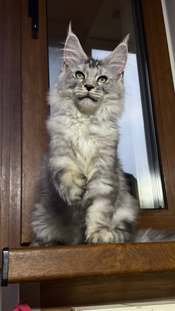 Photo 2025 11 30 10 50 58